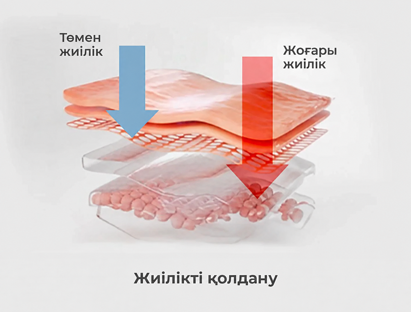 RF технологиясы
